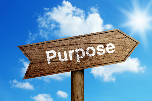 Is Profit Without Purpose Sustainable Success?